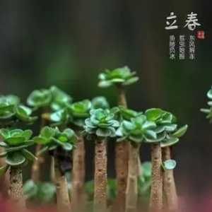 2023立春迎春可以在娘家吗