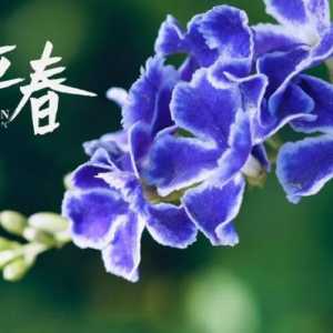 2023年立春躲春避太岁时间是几点到几点