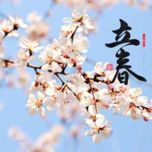 2023年躲春兔需要躲哪些属相