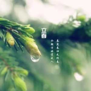 躲春是在当天任意选一个时间点待房间吗