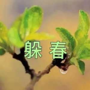 2023年躲春的时间是上午还是晚上