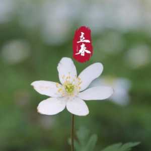 2023年属鸡躲春不能见什么属相
