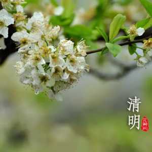 2023清明节高速免费几天