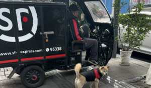 为什么不接顺丰的电话就不送