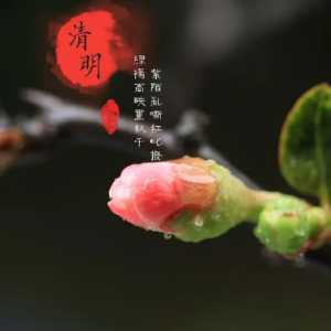2023清明节有哪些生肖不能上坟