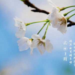 2023年3月还会有冷空气吗