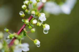 2023年雨水节气前一天下葬好吗