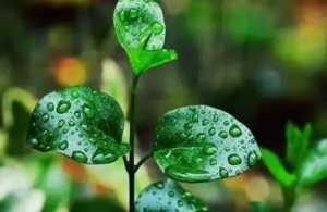 2023年梅雨季节是什么时间