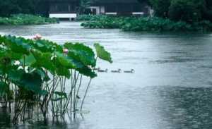 2023年梅雨季节是夏季吗