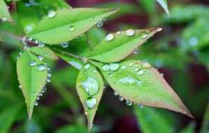 湖南下雨为什么要下到五月2023
