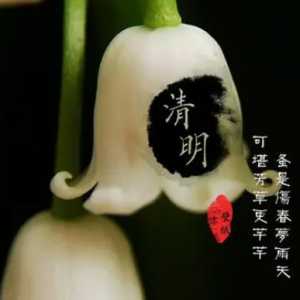 新坟清明节当天可以上坟吗