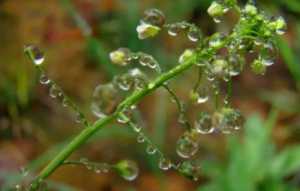2023苏州梅雨季节是哪几个月