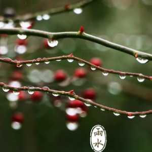 2023雨水节气可以同房吗