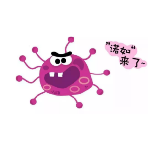 诺如病毒感染一次还会再感染吗