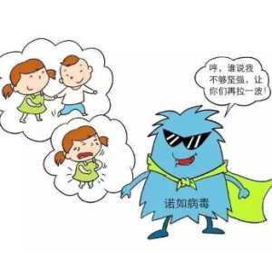 诺如病毒就是xbb病毒吗