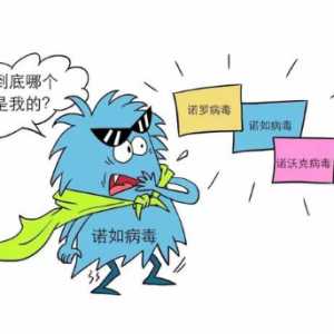 诺如病毒可以吃鸡蛋吗