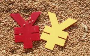 粮食补贴发放到户主名字上吗