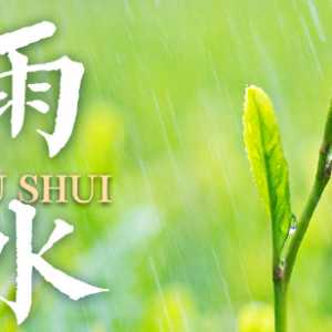 雨水节气意味着什么2023