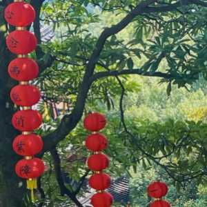 法喜寺为什么不能乱去的