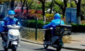 2月23日饿了么兔单答案预测
