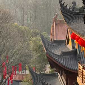 先去法喜寺还是灵隐寺