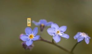 2023有两个春分是真的吗