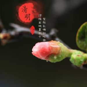 清明节烧纸在白天还是晚上
