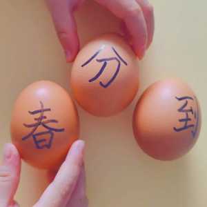 春分鸡蛋怎么立起来
