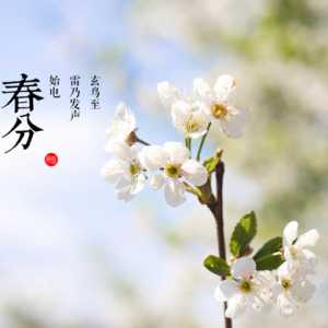 2023年春分后天气还冷吗