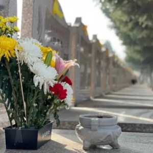 2023清明节墓园几点开门