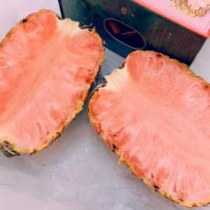 粉色的菠萝是什么品种