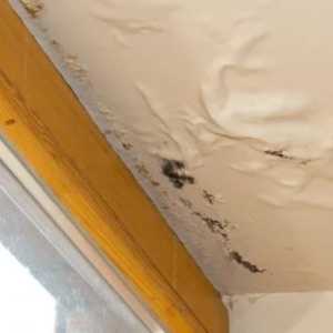 修楼房漏水的沥青用水泥可以防止毒素吗