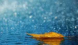 2023年进入五月份有大雨吗