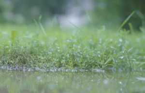 2023年五一成都下雨吗