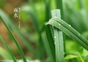 2023谷雨前后雨水多吗