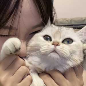 幼稚子宫成年后能治好吗