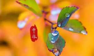 2023年秋季雨水多还是雨水少