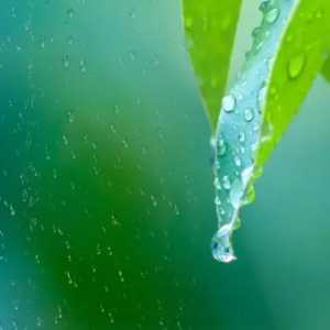 2023年上半年雨水多还是下半年雨水多