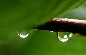 为什么武汉这些天老是下雨