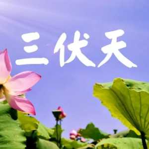 2023年三伏天比2022年三伏天热吗
