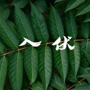 2023年7月几号入伏