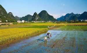 2023年芒种下雨是旱还是涝