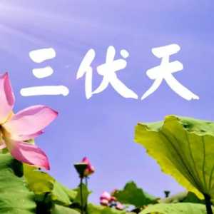 2023年三伏天过后还会热吗