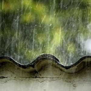 2023年7月雨水多吗