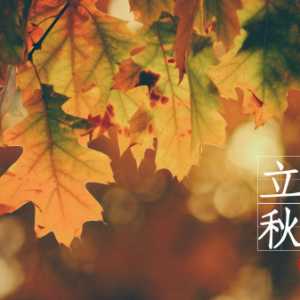 2023年8月几号立秋