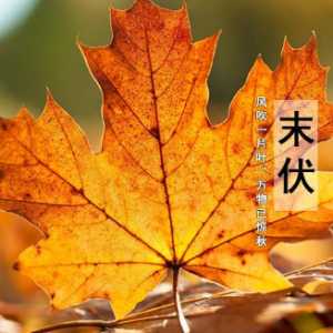 2023年末伏最后一天是哪一天