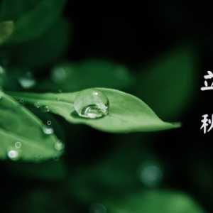 2023年立秋是几月几号几点几分几秒