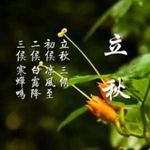 2023年立秋是早立秋还是晚立秋
