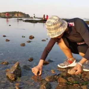 2023年7月份去大连赶海应几号到那里