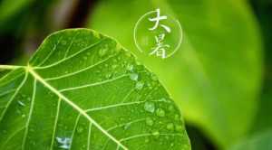 2023年大暑过后天气会变凉吗